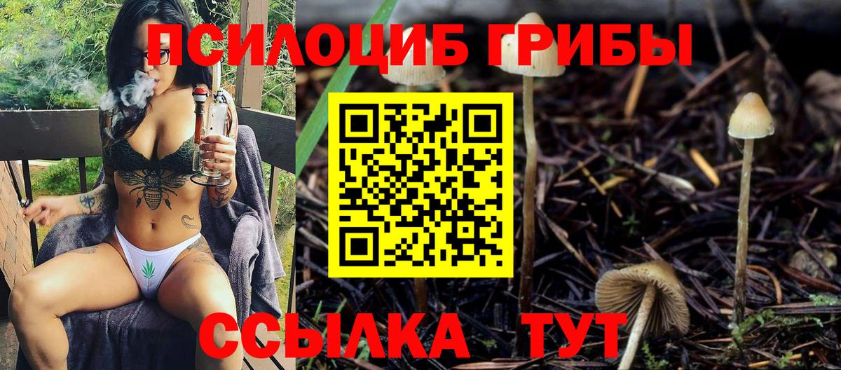 Галлюциногенные грибы мицелий  Вход с VPN  Углич 