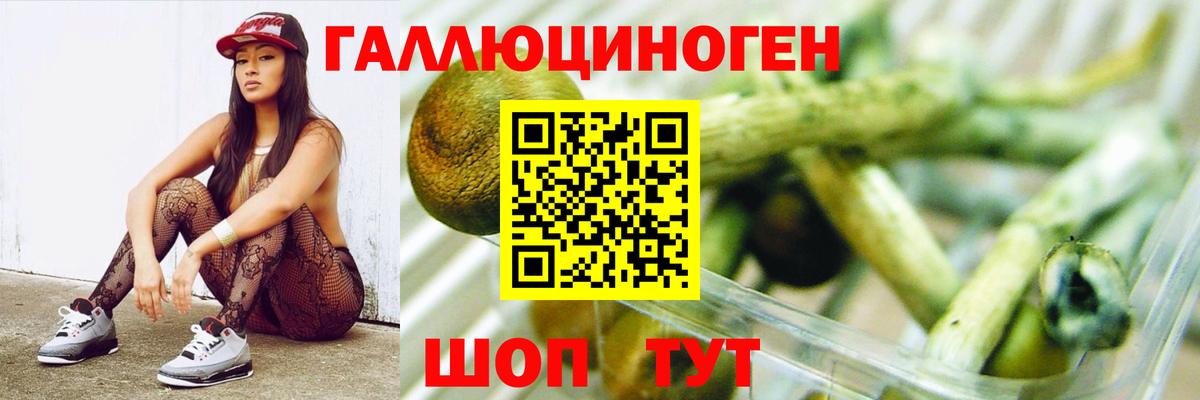 Псилоцибиновые грибы Psilocybe Углич